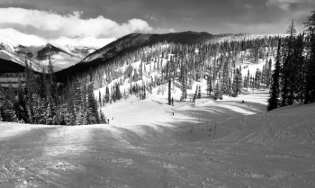 Picture of QA Expired Waiver  Lift Ticket